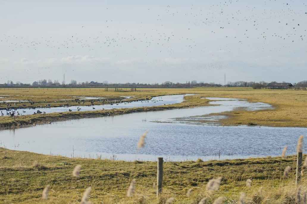 Aerial image of RSPB Frampton Marsh nature reserve